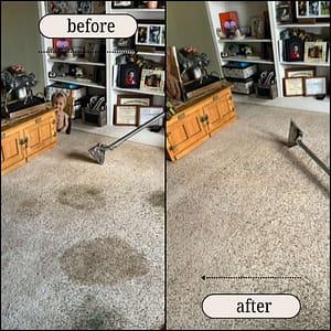 Before After Carpet Cleaning
