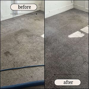 Before After Carpet Cleaning