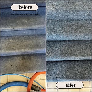 Before After Carpet Cleaning