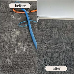 Before After Carpet Cleaning