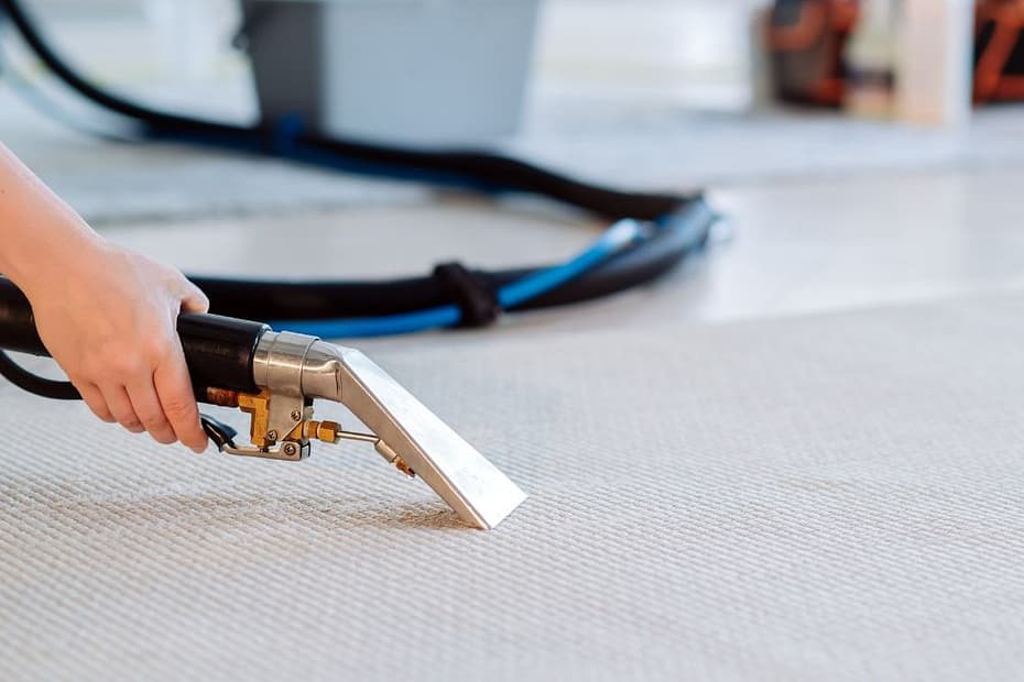 Steam Carpet Cleaning