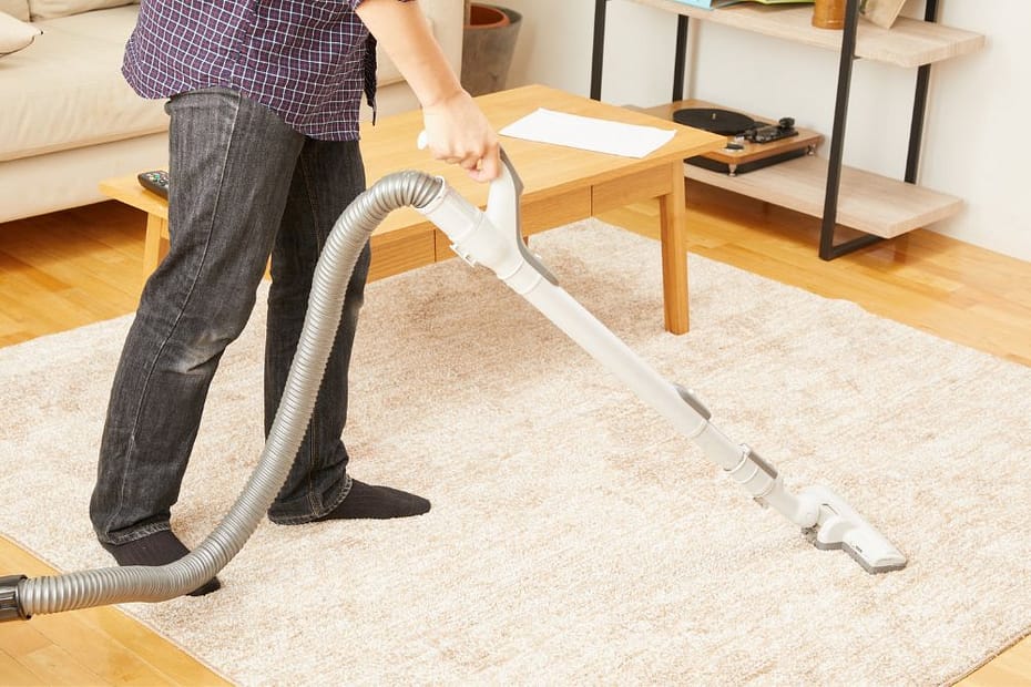 Professional Carpet Cleaning Services
