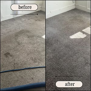 Before After Carpet Cleaning