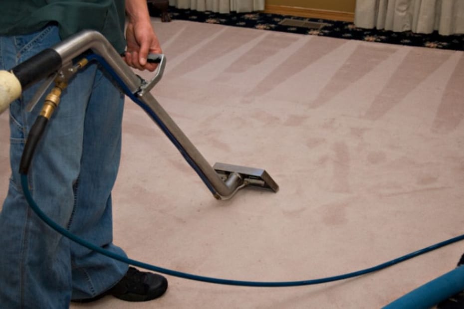 Professional Carpet Cleaning