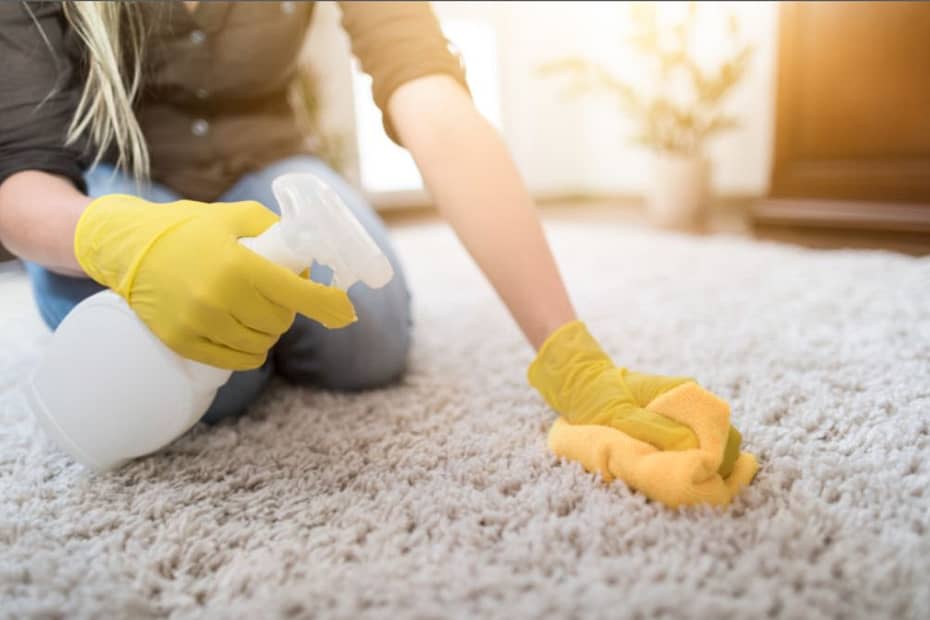 Girl cleaning Carpet