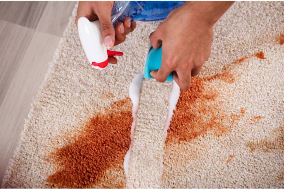 Carpet cleaning with Solution