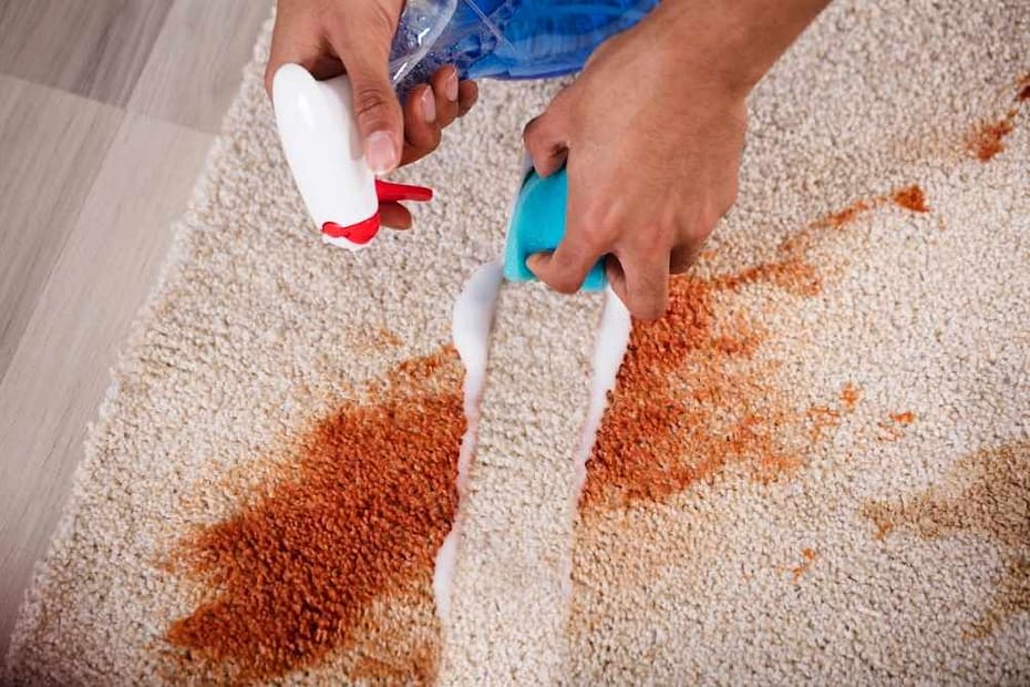Eco Friendly Carpet Cleaning