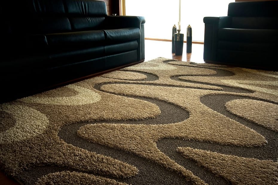 Clean Carpets in a hall